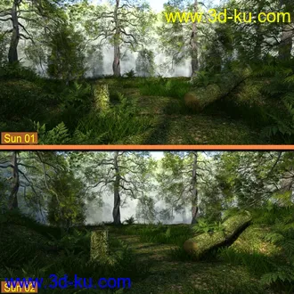 3D打印模型Foggy Forest的图片