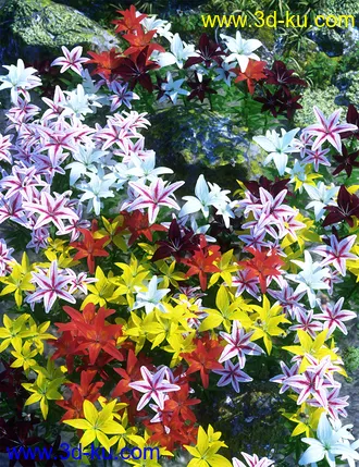 3D打印模型Garden Flowers - Asiatic Lilies的图片