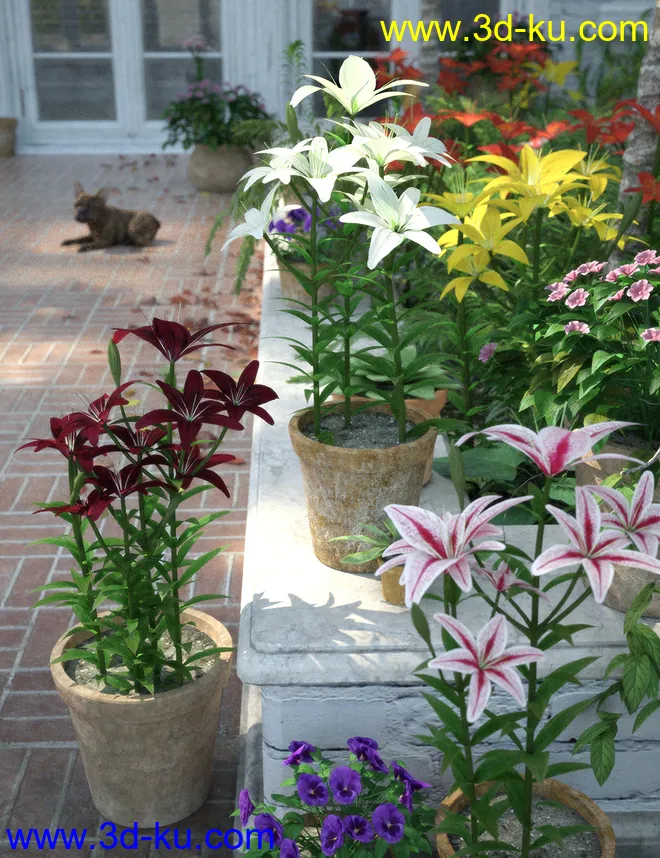 Garden Flowers - Asiatic Lilies模型的图片2