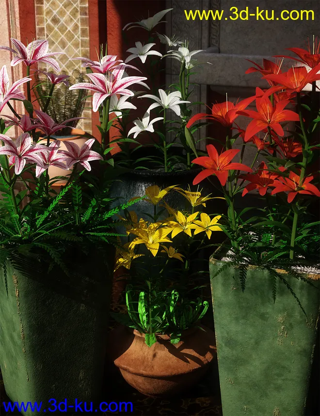 Garden Flowers - Asiatic Lilies模型的图片3