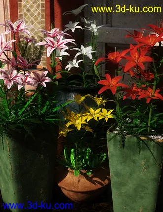 3D打印模型Garden Flowers - Asiatic Lilies的图片