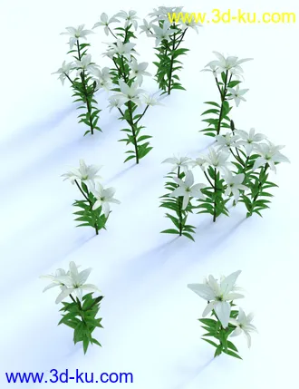 3D打印模型Garden Flowers - Asiatic Lilies的图片