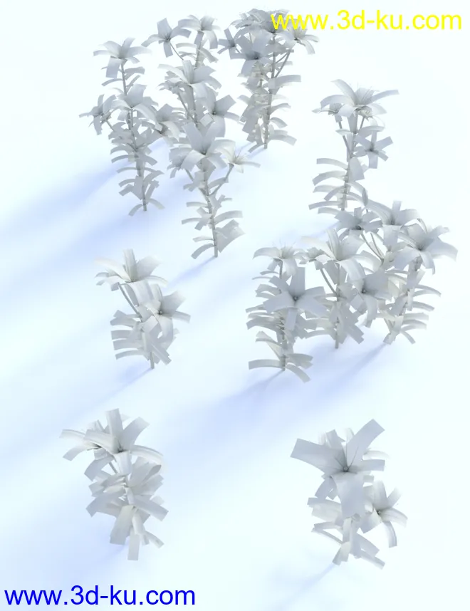 Garden Flowers - Asiatic Lilies模型的图片5