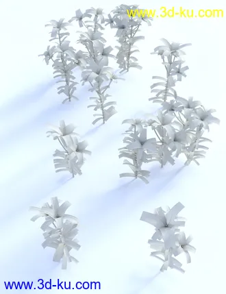 3D打印模型Garden Flowers - Asiatic Lilies的图片