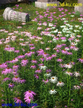 3D打印模型Garden Flowers - Cone Flowers的图片