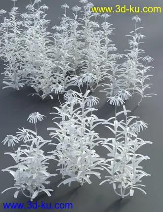 3D打印模型Garden Flowers - Cone Flowers的图片