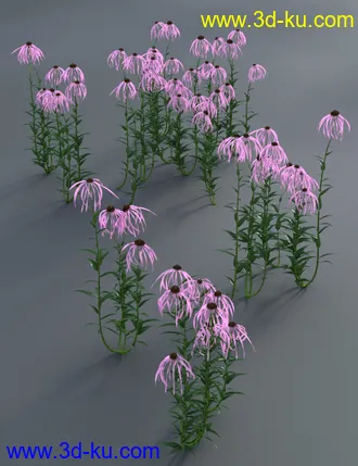 3D打印模型Garden Flowers - Cone Flowers的图片