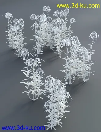 3D打印模型Garden Flowers - Cone Flowers的图片