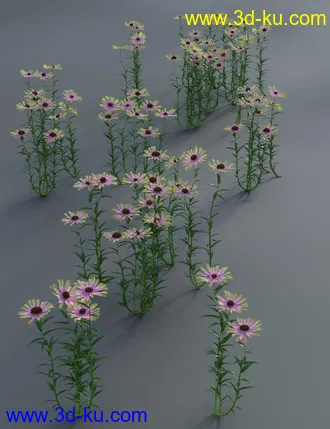 3D打印模型Garden Flowers - Cone Flowers的图片