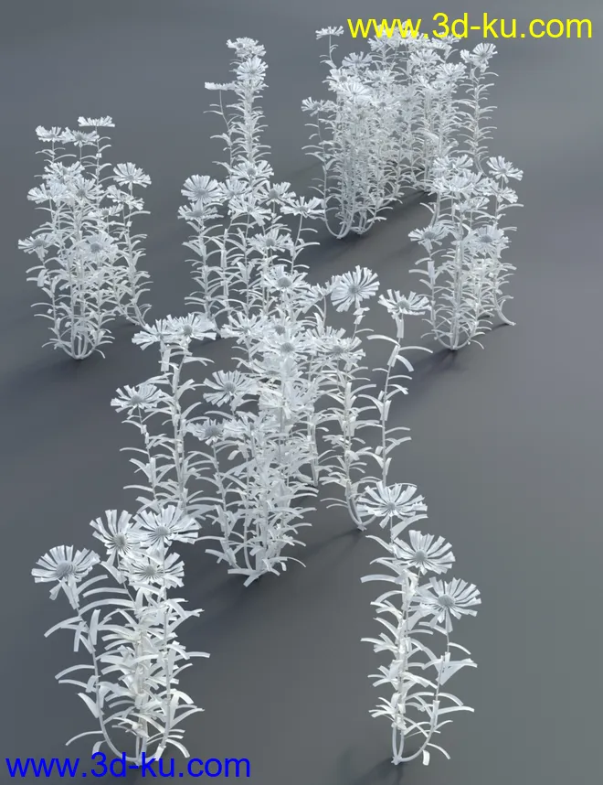 Garden Flowers - Cone Flowers模型的图片9