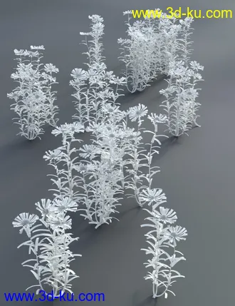 3D打印模型Garden Flowers - Cone Flowers的图片