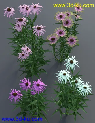 3D打印模型Garden Flowers - Cone Flowers的图片