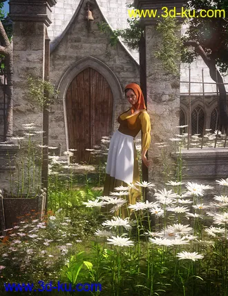 3D打印模型Garden Flowers - Garden Daisies的图片