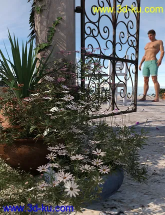 3D打印模型Garden Flowers - Garden Daisies的图片