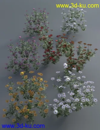 3D打印模型Garden Flowers - Garden Daisies的图片
