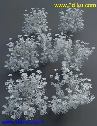 3D打印模型Garden Flowers - Garden Daisies的图片