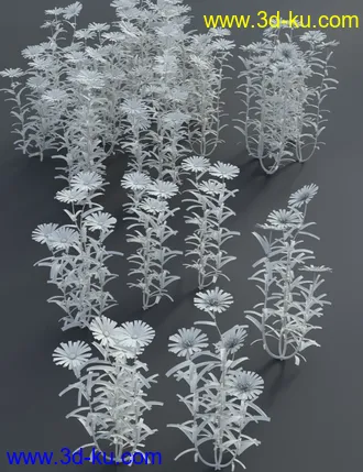 3D打印模型Garden Flowers - Garden Daisies的图片