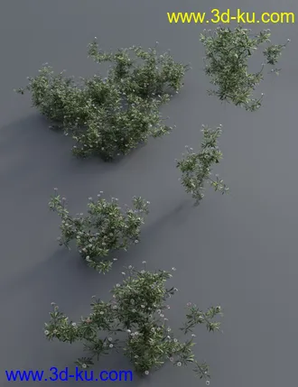3D打印模型Garden Flowers - Garden Daisies的图片