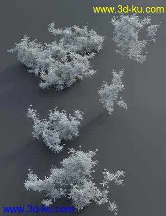 3D打印模型Garden Flowers - Garden Daisies的图片