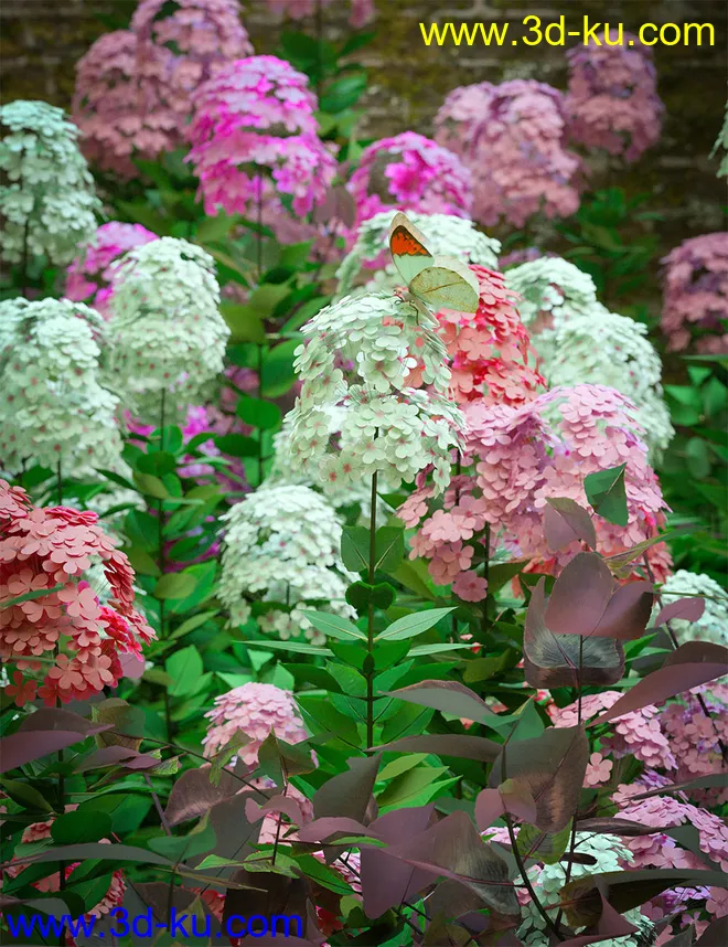 Garden Plants - Summer Border Collection模型的图片1