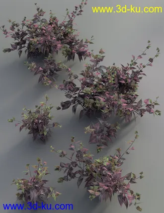 3D打印模型Garden Plants - Summer Border Collection的图片