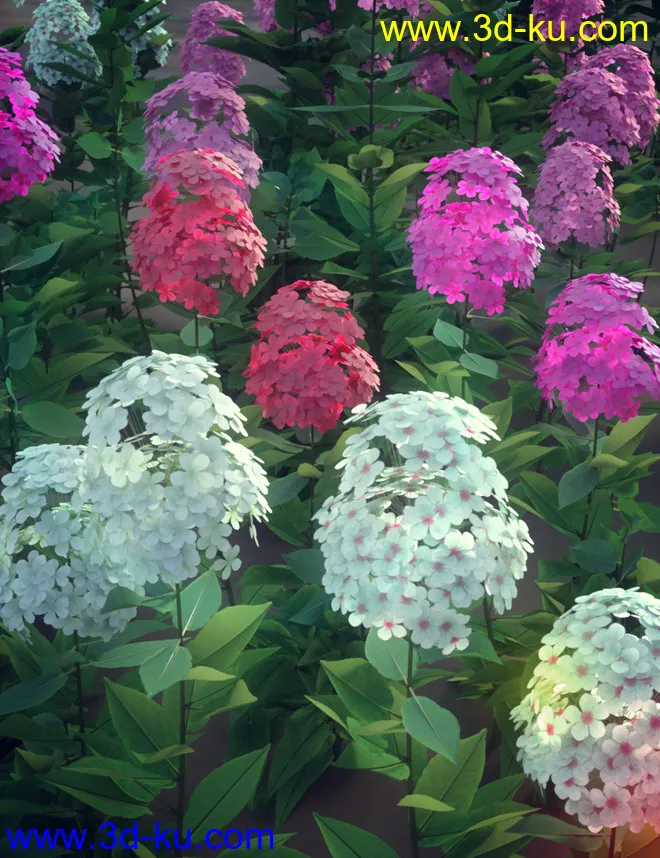 Garden Plants - Summer Border Collection模型的图片7