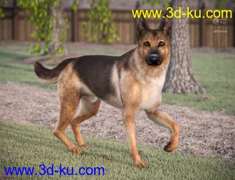 3D打印模型German Shepherd for Daz Dog 8的图片