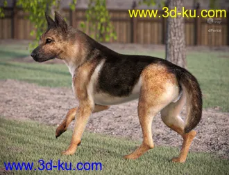 3D打印模型German Shepherd for Daz Dog 8的图片