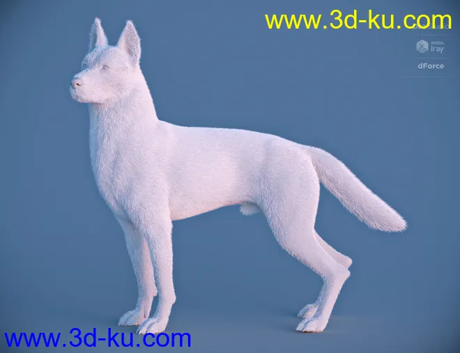 German Shepherd for Daz Dog 8模型的图片5