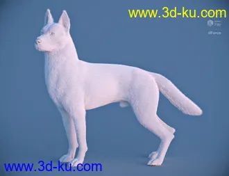 3D打印模型German Shepherd for Daz Dog 8的图片