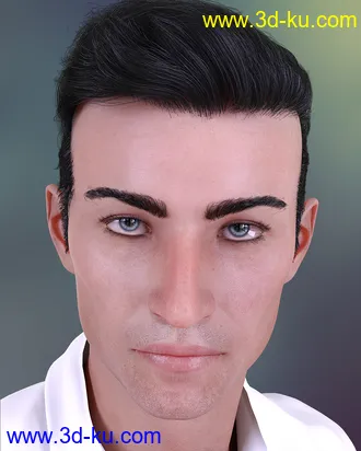 3D打印模型Gray for Jonathan 8的图片