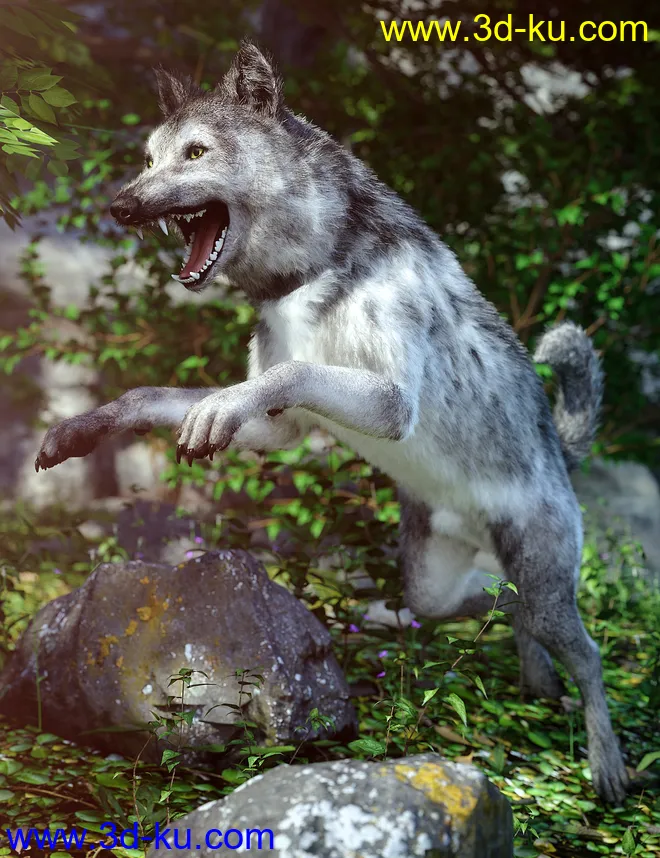Grey Wolf for Daz Dog 8模型的图片1