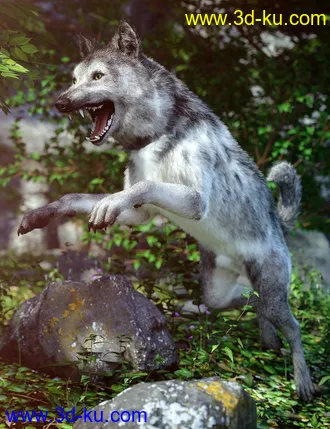 3D打印模型Grey Wolf for Daz Dog 8的图片