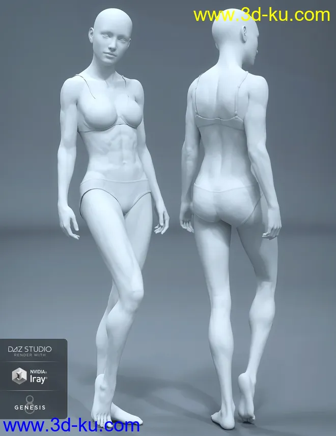 HD Body Shapes for Genesis 8 Female模型的图片1