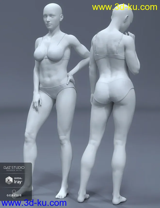 HD Body Shapes for Genesis 8 Female模型的图片2