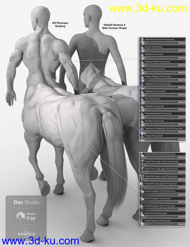 HD Physique Shaping for Genesis 8 Male Centaur模型的图片4