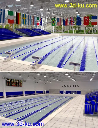 3D打印模型High School Pool的图片