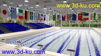 3D打印模型High School Pool的图片