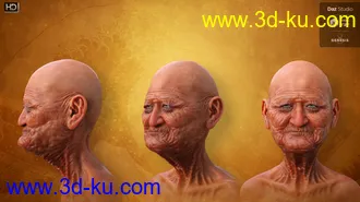 3D打印模型Hitoshi Sensei HD for Genesis 8 Male的图片