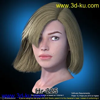 3D打印模型Hr-225的图片