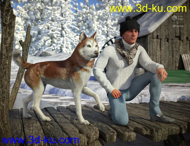 Husky for Daz Dog 8模型的图片4