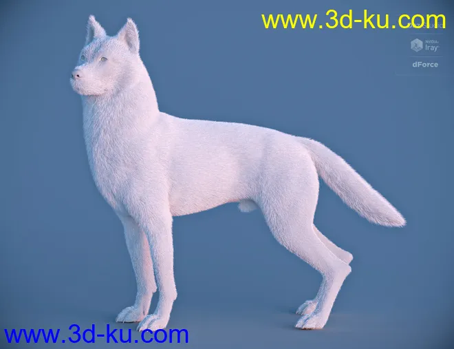 Husky for Daz Dog 8模型的图片5