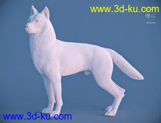 3D打印模型Husky for Daz Dog 8的图片