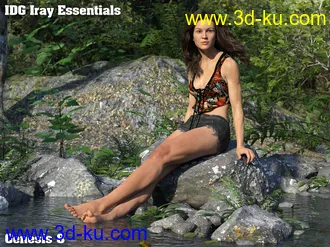 3D打印模型IDG Iray Essentials for Genesis 8的图片