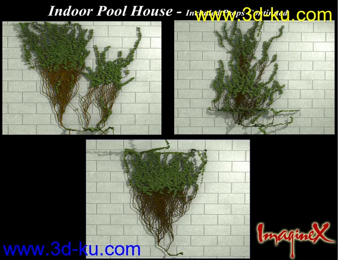 Indoor Pool House模型的图片6