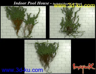 3D打印模型Indoor Pool House的图片