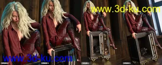 3D打印模型Inside Linday’s Daz Studio Iray Scenes的图片