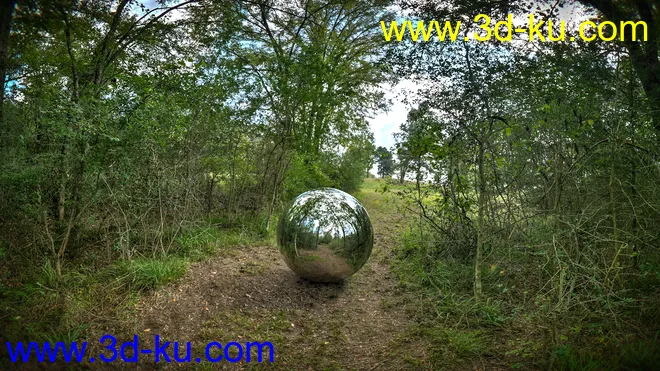 iRadiance HDR Resources - Country Pasture模型的图片4