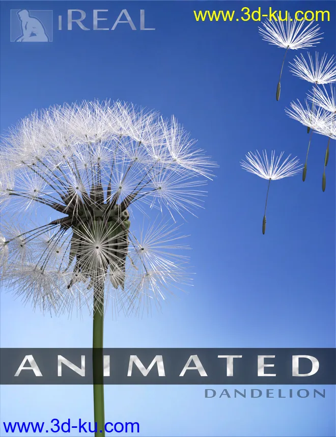 iREAL Animated Dandelion模型的图片1