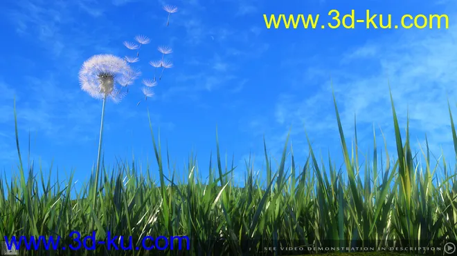 iREAL Animated Dandelion模型的图片2